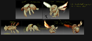 arai-creature-anim-ref-sheet