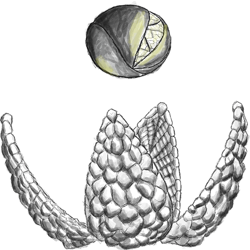 [Image: 20221027142430-d57ff8a0.png]