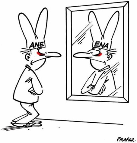 [Image: 20221204171322-a03da975.jpg]