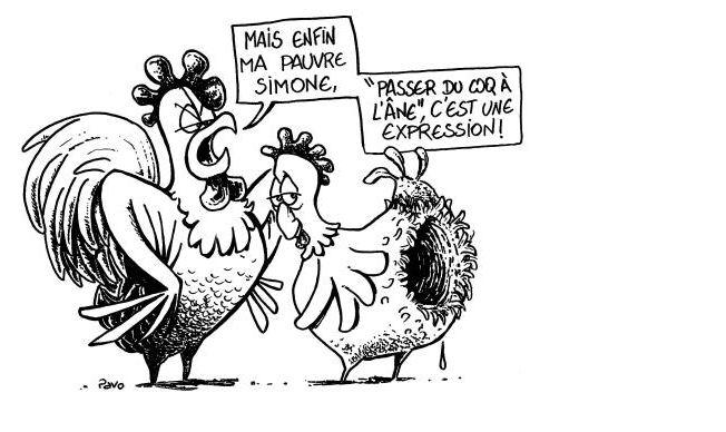 [Image: 20221204172531-6ed745ed.jpg]