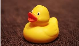 [Image: 20221204172537-4e820c54.jpg]