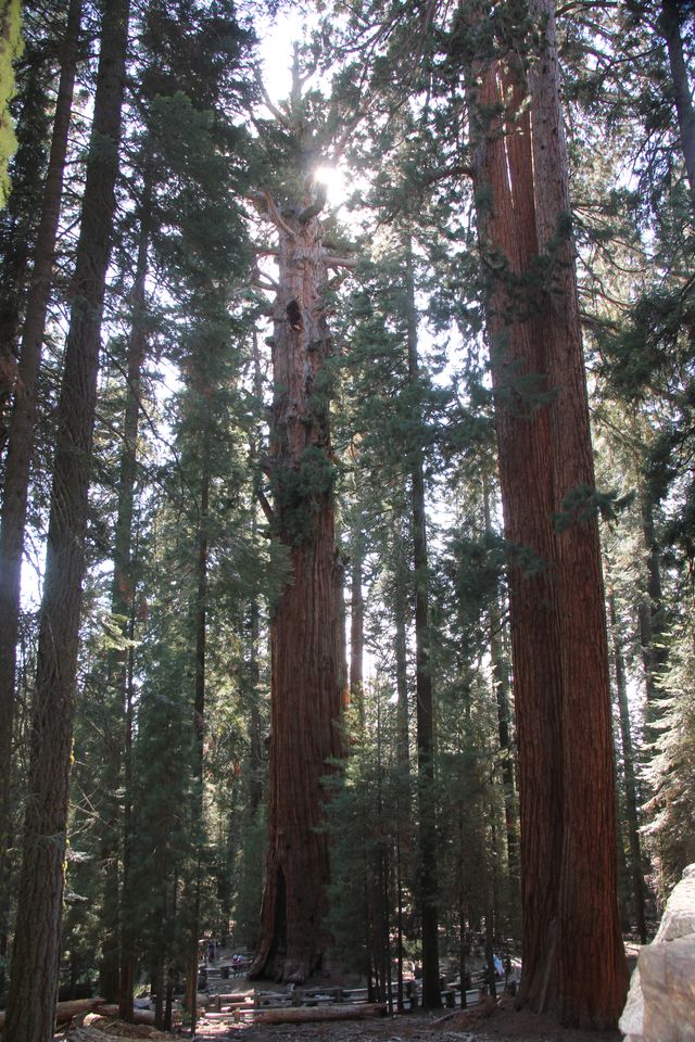 [Image: 20221204172642-e314ad62.jpg]