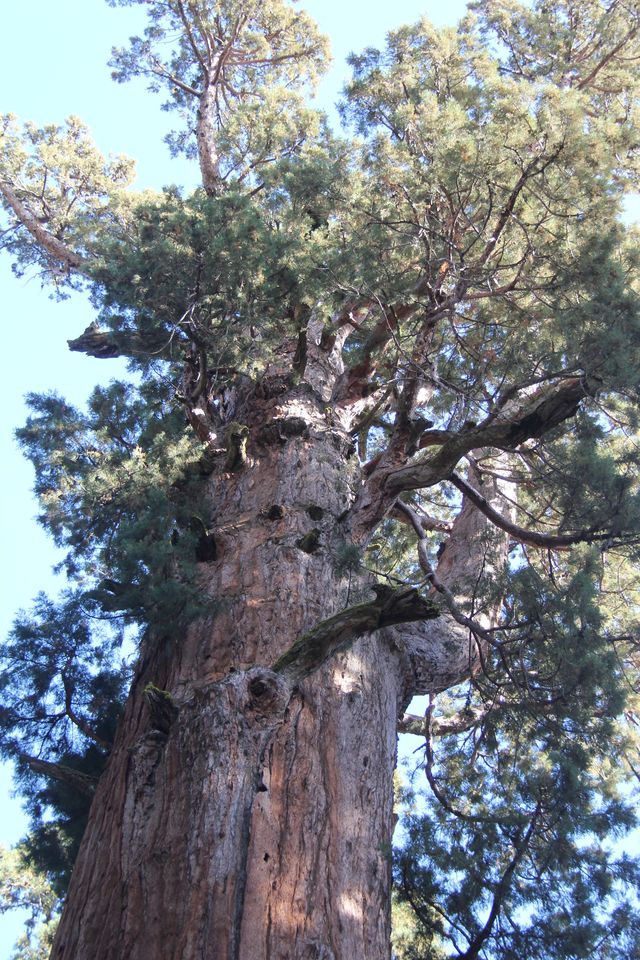 [Image: 20221204172643-2ec3ba08.jpg]