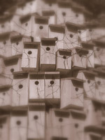 [Image: 20221204172736-9031de03.jpg]