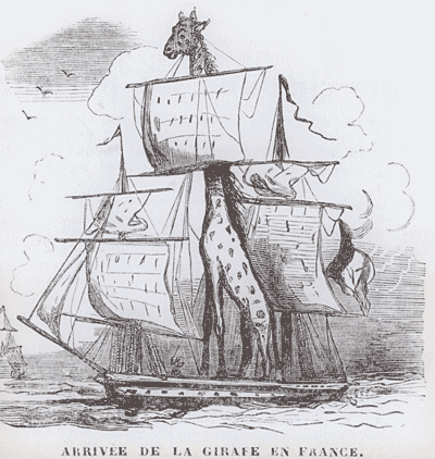 [Image: 20221204172757-2b80b9bc.gif]