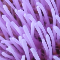 [Image: 20221204172809-48969da5.jpg]