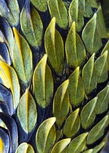 [Image: 20221204174829-c1c5c4a7.jpg]