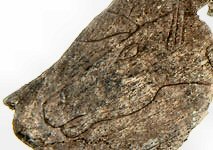 [Image: 20221204175020-74c42006.jpg]