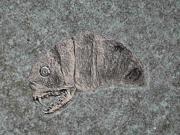 [Image: 20221204175048-8cc81ffd.jpg]