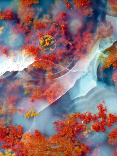 [Image: 20221204175123-7532cf11.jpg]