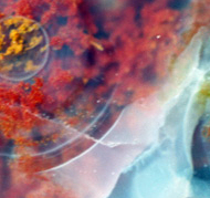 [Image: 20221204175123-83351336.jpg]