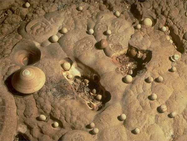 [Image: 20221204175124-c5b5d136.jpg]