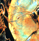 [Image: 20221204175132-e0d62b92.jpg]