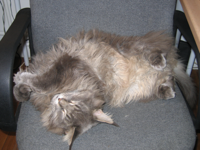 [Image: 20221204175139-6faebddc.jpg]