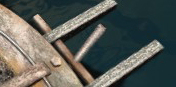 [Image: 20221204175146-a2f960fa.jpg]