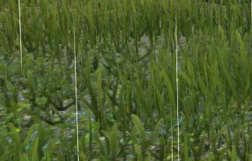 [Image: 20221204175150-8d00a982.jpg]